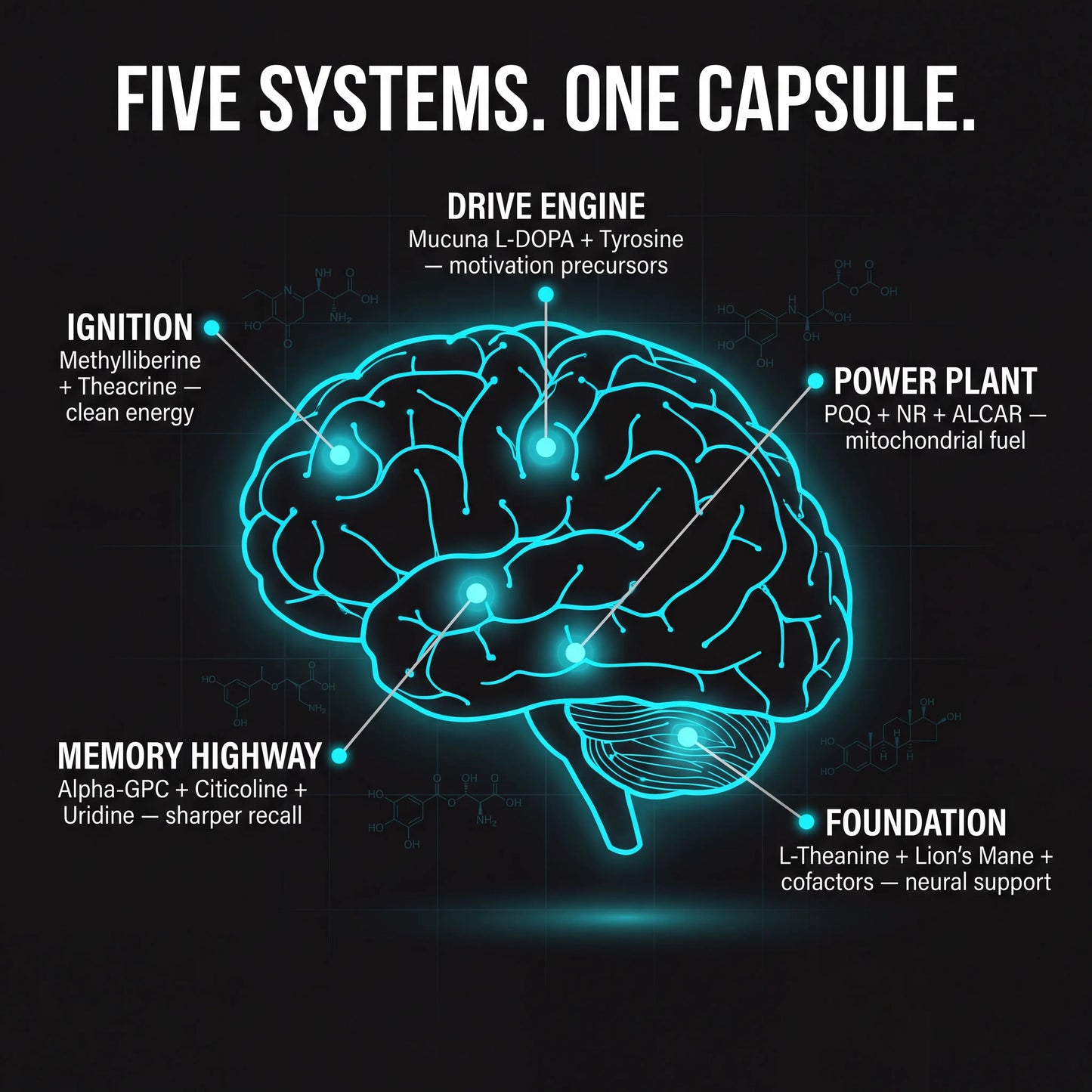 Ardon™ Cognitive Boost