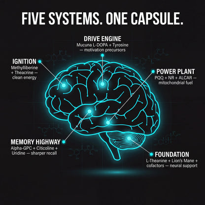 Ardon™ Cognitive Boost